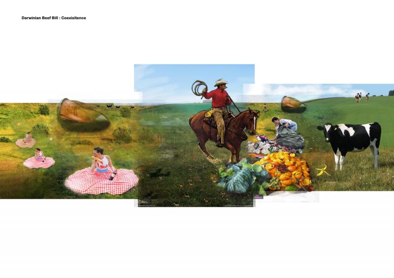Darwinian Beef Bill: Coexistence